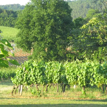 Bed & Breakfast La Theroniere Prayssac